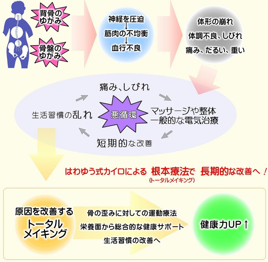 カイロ 骨盤矯正 はわゆう整骨院 はわゆうせいこついん 交通事故 労災指定院 高津区 溝の口駅 梶ヶ谷駅 保険取扱い カイロプラクティック専門 整体