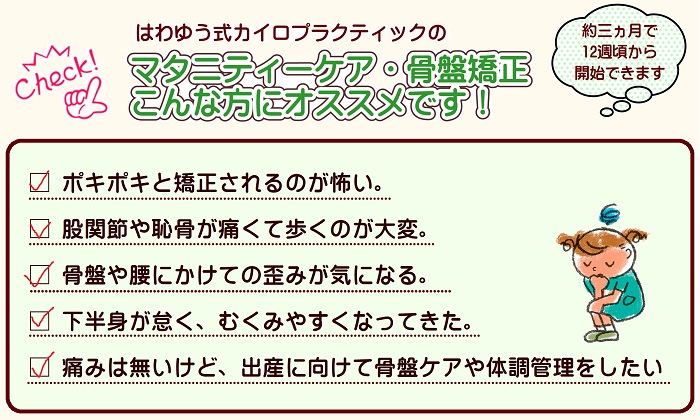 バランス アジャスター 接骨院 整体 カイロプラクティック マッサージ - 健康用品、健康器具