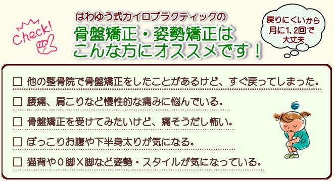 カイロ 安い プラクティック 骨盤 ベルト